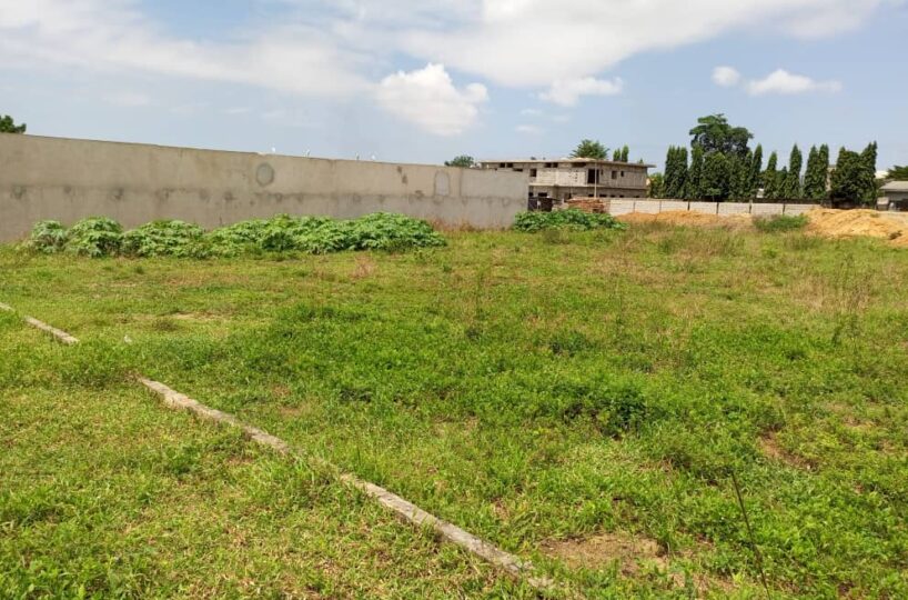 Terrain ananeraie — Yopougon ananeraie, Abidjan